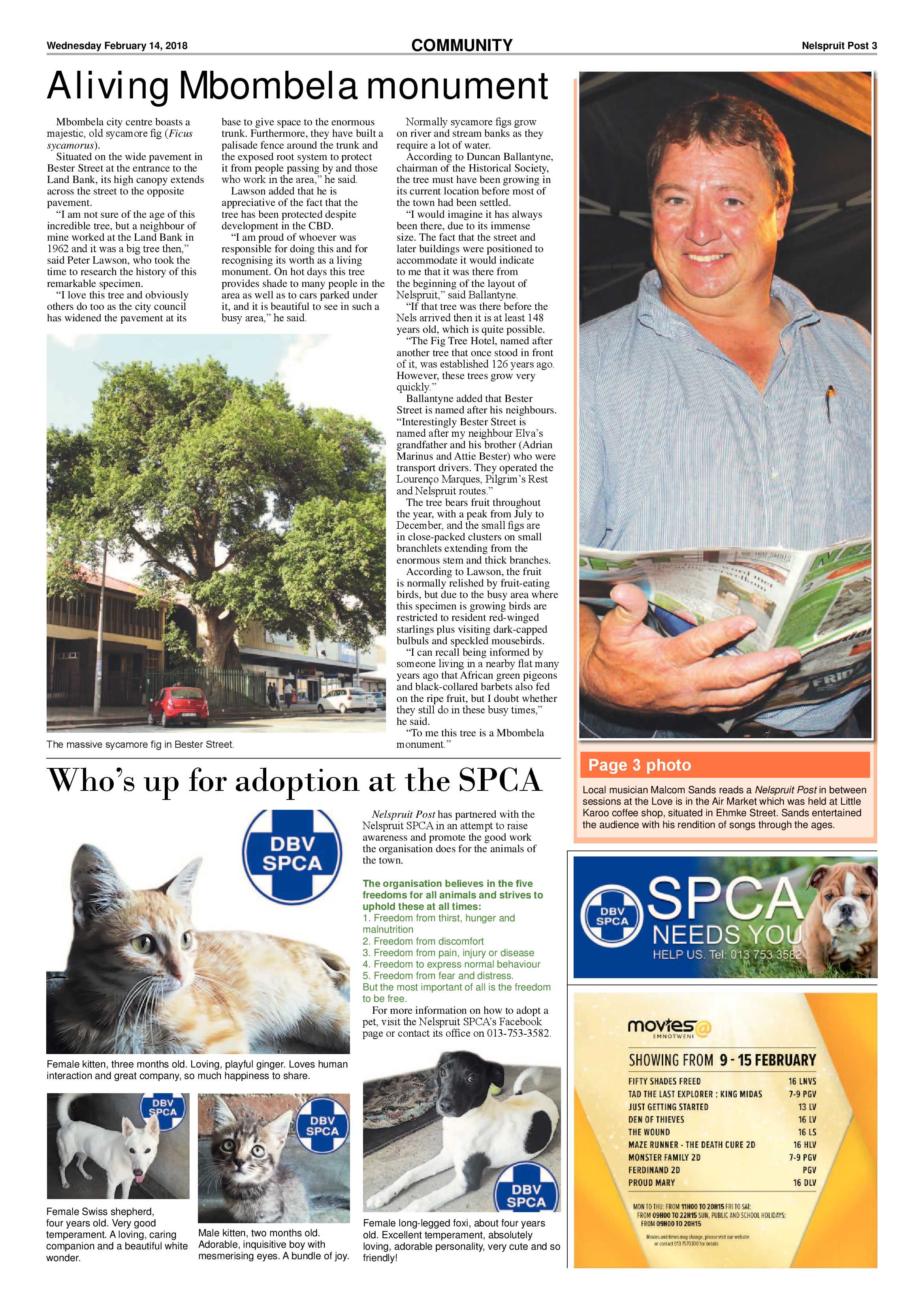 Nelspruit Post 14 February 2018 page 3