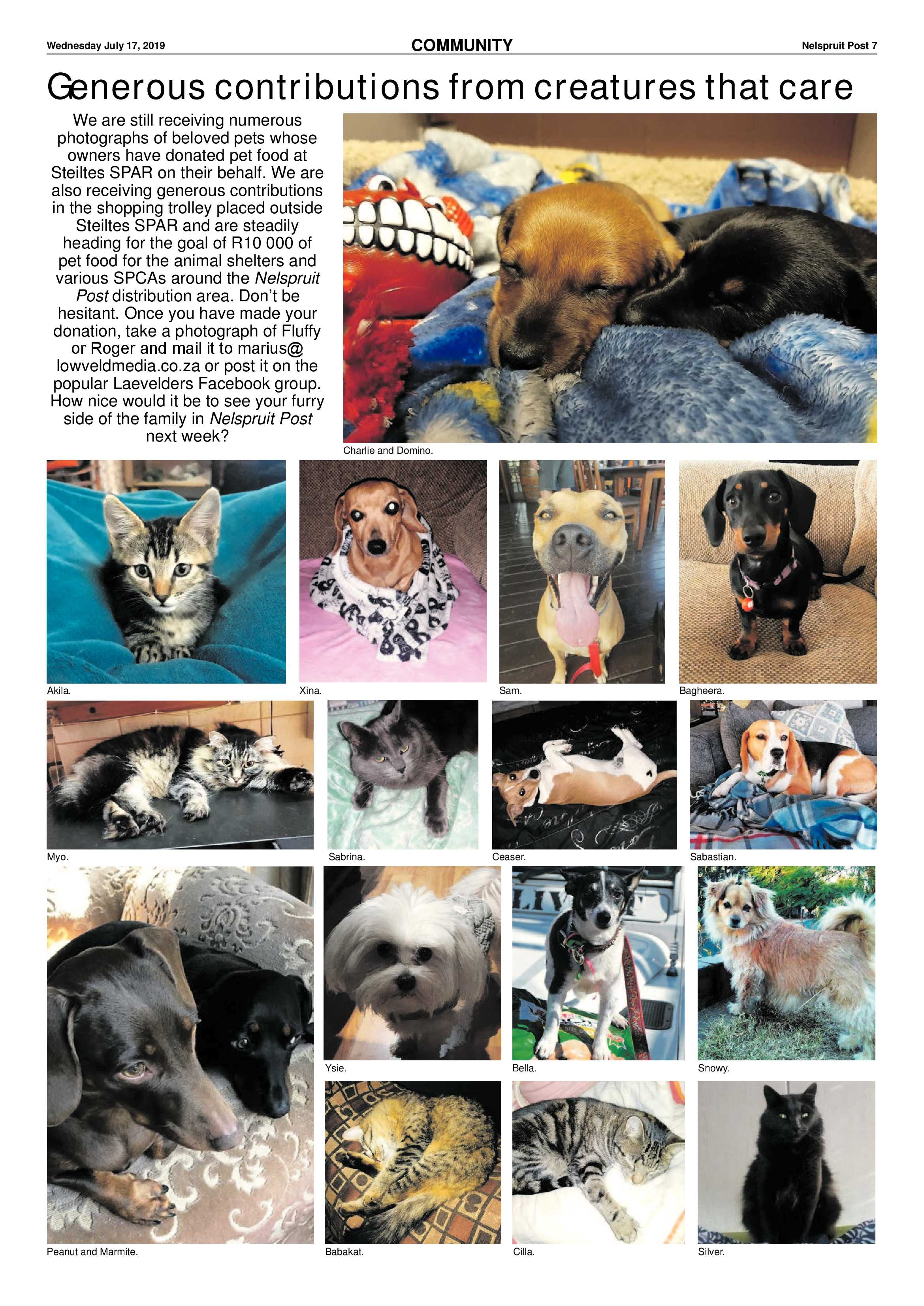 Nelspruit Post 17 July 2019 page 7